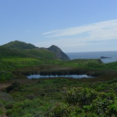 GirlsWildCat 021 : GirlsWildCat